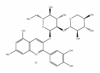 Cyanidin-3-sambubioside chloride