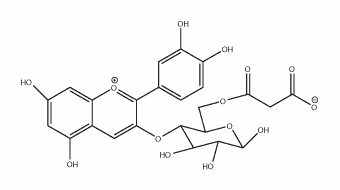 Cyanidin-3-(6”-malonylglucoside)
