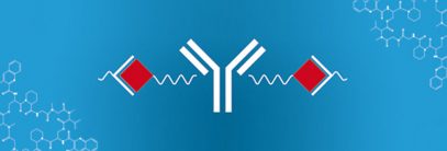 Antibody Drug Conjugates (ADCs) – Cytotoxins